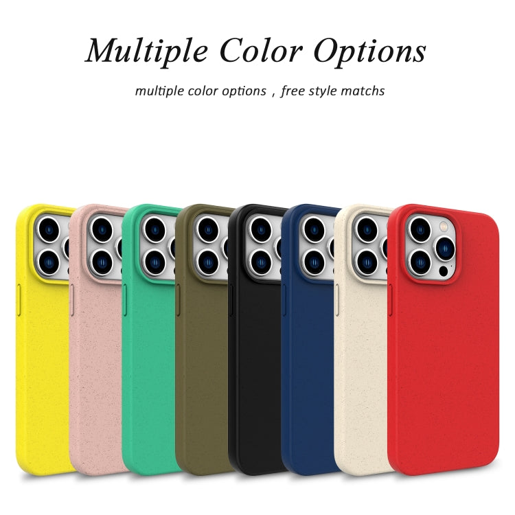 Wheat Straw TPU Phone Case, For iPhone 16e, For iPhone 16 Pro Max, For iPhone 16 Pro, For iPhone 16 Plus