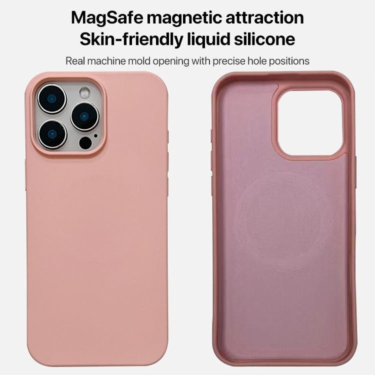 Liquid Silicone Phone MagSafe Case, For iPhone 11 Pro Max, For iPhone 11, For iPhone 11 Pro