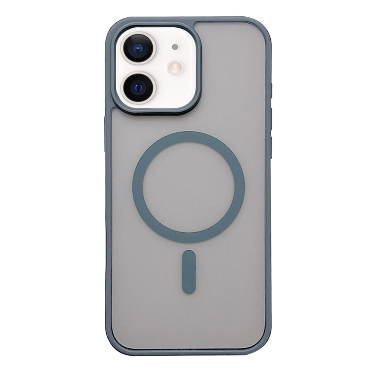 Frosted Skin Feel MagSafe Phone Case, For iPhone 11 Pro Max, For iPhone 11, For iPhone 11 Pro