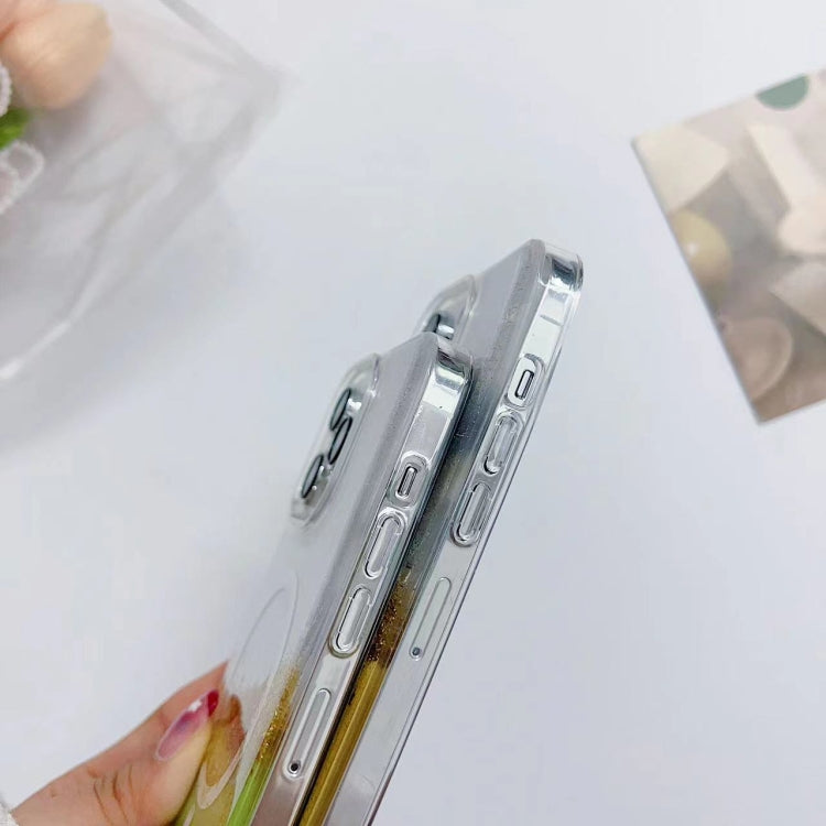 Gilding MagSafe Hybrid Clear TPU Phone Case, For iPhone 14 Plus, For iPhone 14, For iPhone 14 Pro, For iPhone 14 Pro Max